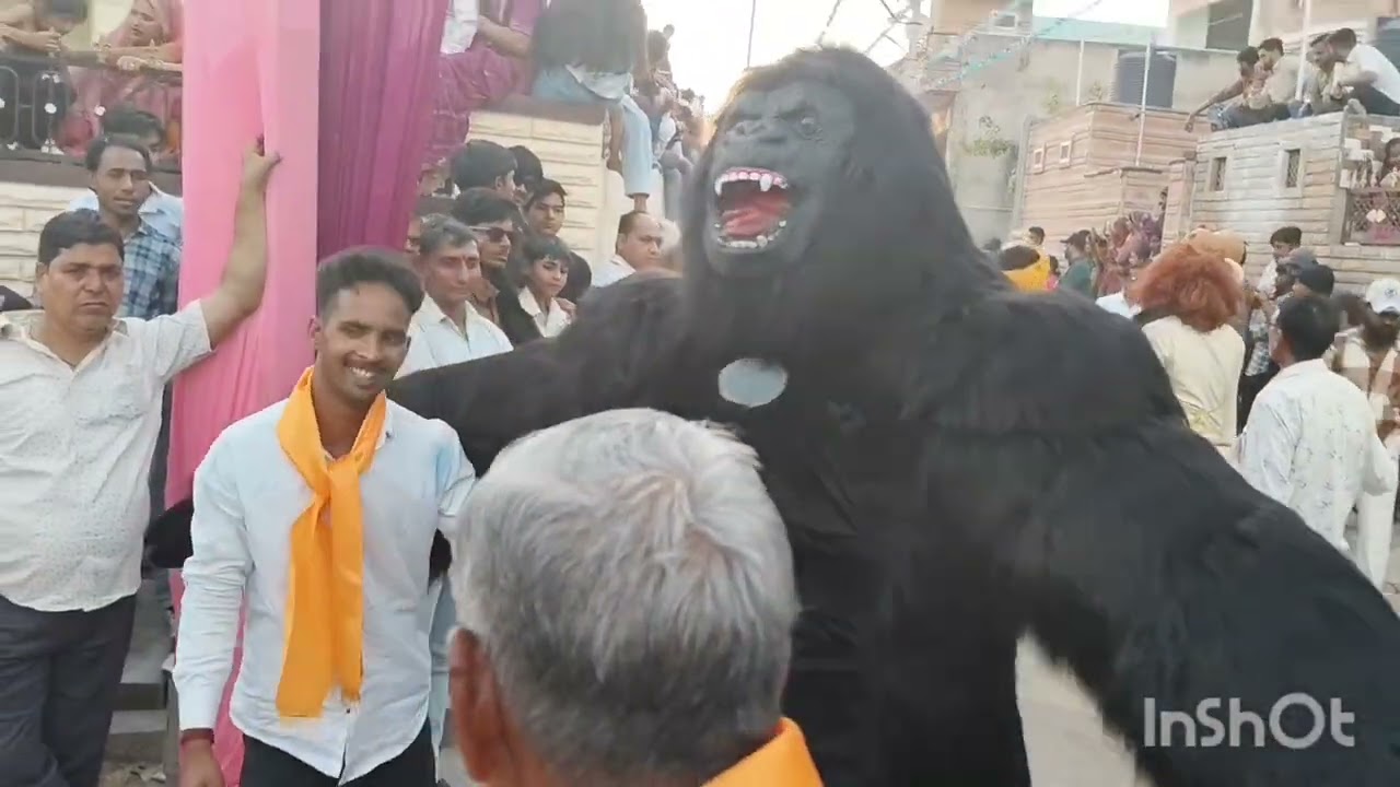 राजस्थान सु प्रसिद्ध माली समाज गैर डीडवाना सभी भाइयों को होली का राम राम 🙏🙏🎉🥰❤️