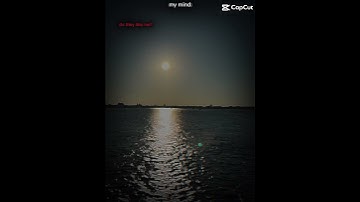 Hope this answers your questions