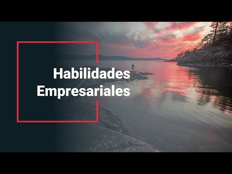 Lista De Habilidades Importantes De Desarrollo Empresarial Con Ejemplos