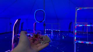 MultiGP IO 2026 whoop finals 1st