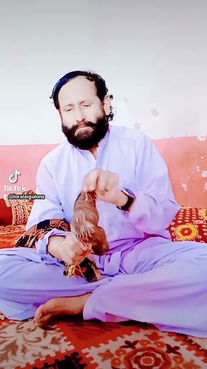 IBRAHEEM KHAN BABATAI