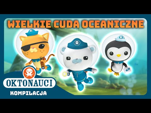 Oktonauci - 🐠🪸 Wielkie cuda oceaniczne 🤿✨ | Kompilacja | Całe odcinki