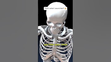 Why Does Your Voice Sound Weird in Recordings?