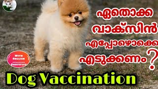 Dog vaccination malayalam | നായ്ക്കളുടെ വാക്സിനേഷൻ | Details and schedule