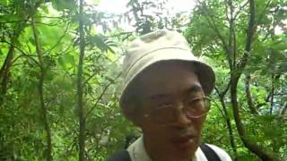 990716登山北寮-鈺鼎步道(共11檔/5)