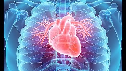 CVS # 16, Cerebral circulation, CSF, BBB and brain metabolism