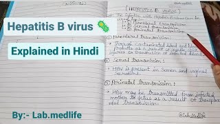 How is the hepatitis B virus transmitted from one person to another? || explained in Hindi