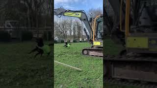 Rottweiler jumping fence to chasing digger bucket