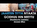 Jaartiin Tiyya Nyaata Godhuu Hin Beeytu Dhaddacha Jaalalaa Doosee 2ffaa 