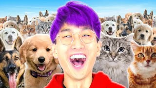 WE RESCUED 100 ABANDONED PETS IN PET SIMULATOR 99!? (BEST PET SIMULATOR VIDEOS ON YOUTUBE!)