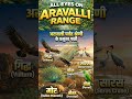 अरावली पर्वत श्रेणी के प्रमुख पक्षी  Aravalli Range Birds#aravalirange#aravalibirds #indiangeography