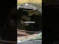 A Car Accident That Changed My Life Forever  | Leaving My Echo Chamber