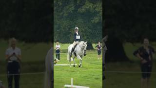 Elphick event ponies dressage edit 💖 || Video credits - @elphick.event.ponies #shorts