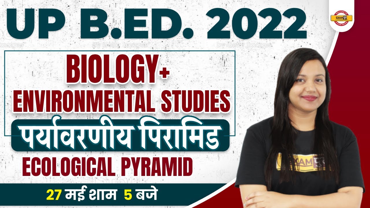 UP BED Biology Classes | UP BED Classes | UP BED Ecological Pyramids | Biology by Amrita Mam