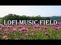 Dreamy Flower Field 🌼 Lofi Mix [Chill Beats / Spring Vibes] NoAd