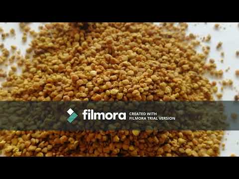 raw-bee-pollen-recipes-&-bee-pollen-benefits-:-my-experience