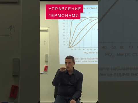 Управление гормонами. Симпатическая и парасимпатическая нервные системы