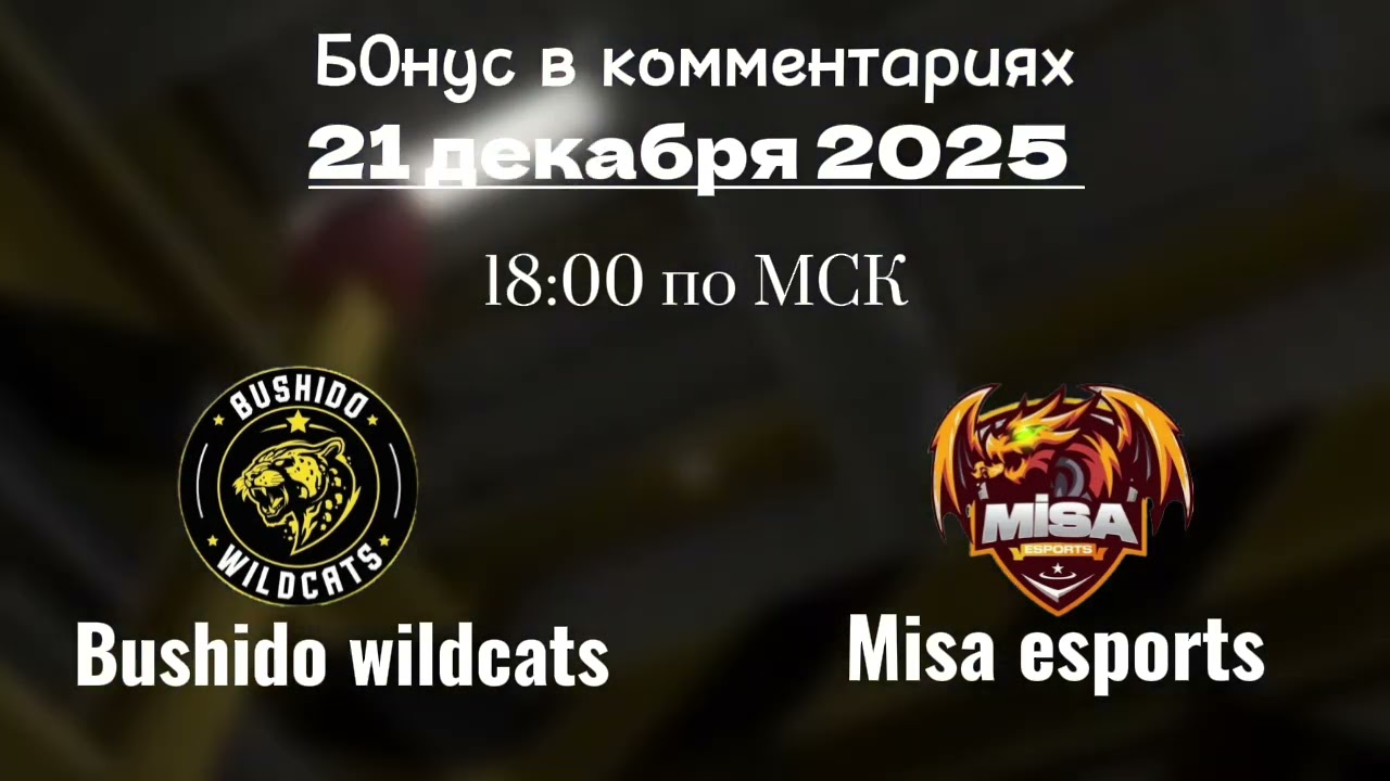 Прогноз на матч Bushido Wildcats - Misa eSports 21 декабря 2025 года 