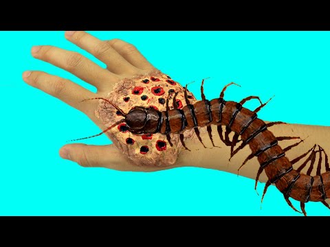 Stop Motion Cooking - INSECTS BBQ PARTY From Centipedes and MealWorms ASMR