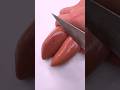 Fun Fun TV : Dream #shorts