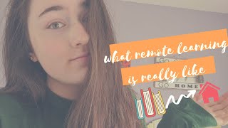 Celebrity My Experience with Remote Learning + Online Classes | Clarkson University Net Worth