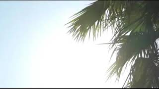 Фотосессия - Sera Kutlubey