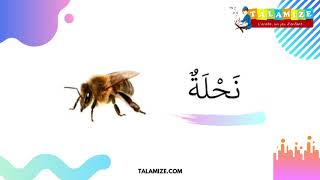 Japprends les animaux dans le coran en arabe avec Talamize 3/3