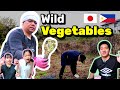 Living in japan country side  wild vegetables  filipino single father in japan