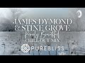 SUNDAY CHILL PICK: James Dymond &amp; Stine Grove - Purely Beautiful (Chill Out Mix) [PureBliss]