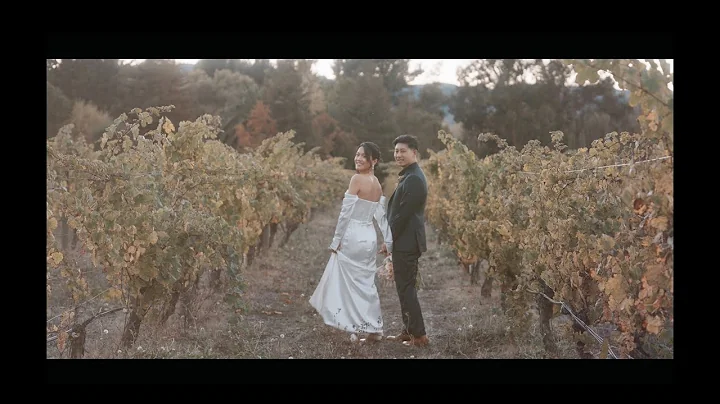 Cline Family Cellars, Sonoma CA Wedding Video 2025