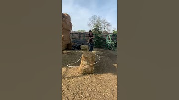 Juliet swinging breakaway rope