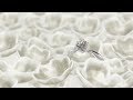 MIKIMOTO - Bridal Salon