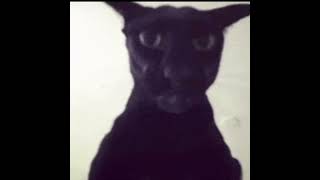 scariest stories 7 #memes