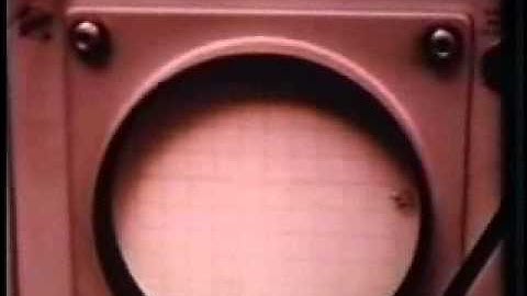 Squid axon voltage clamping