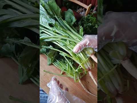 الطريقة الصح لطبخ السبانخ هتخليها تحتفظ بكل الفيتامينات عشاءلذيذ  طبخ اكلات 