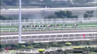 Watch Akeed Mofeed (Dubawi) win the G1 Hong Kong Cup at Sha Tin, Hong Kong, 2013