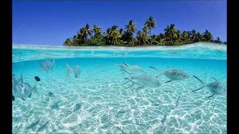 سورة المدثر  .. الشيخ مشاري راشد تلاوة قديمة