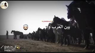 مجوز الجولان 🎵 أفراح عشيرة #الهوادجة 🚩 بصوت 🎤 #أبوسلطان ✨