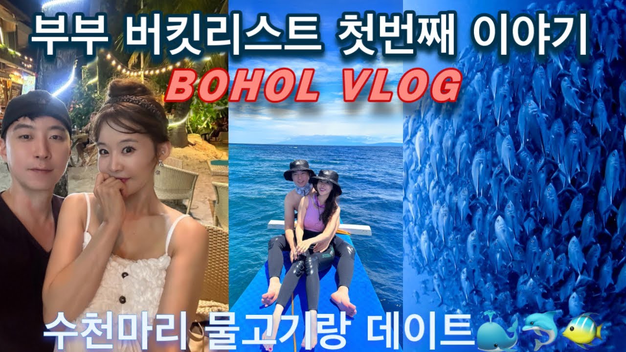 보홀 브이로그(발리카삭,알로나비치 맛집,스쿠버다이빙,잭피쉬,바다거북이)