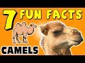 7 FUN FACTS ABOUT CAMELS! FACTS FOR KIDS! Camel! Sand! Desert! Learning Colors! Funny! Sock Puppet!
