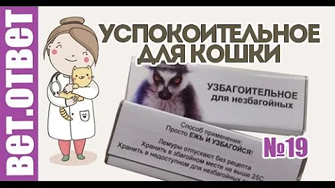 Успокоительное для кошки. Вет ответ