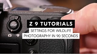 Nikon Z 9 tutorial: Adjust your Z 9 in 60 seconds for wildlife photography