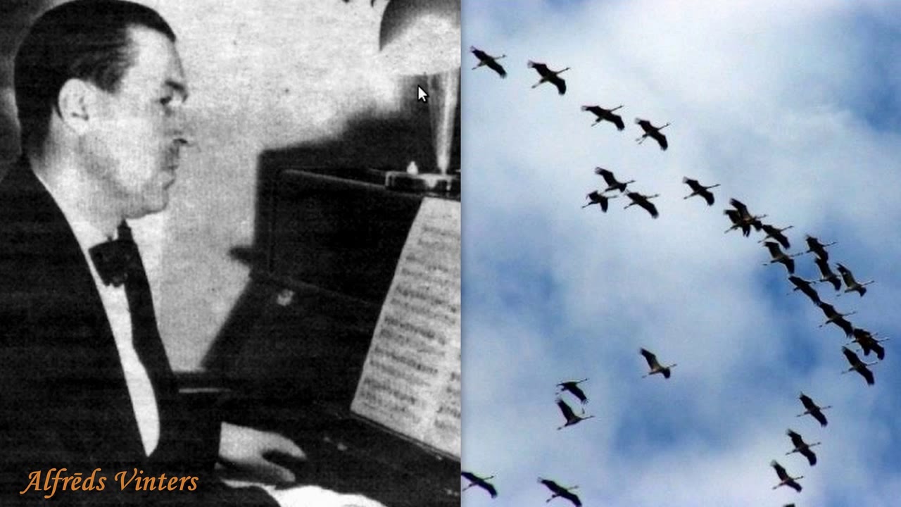 Alfrēds Vinters - Gājputni (195-)