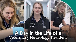 | FULL EPISODE | A Day in the Life of a Veterinary Neurology Resident || Dr. Jaquay