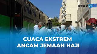 Suhu Makkah dan Madinah Tembus 42 Derajat, Jemaah Haji Diimbau Waspada