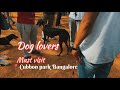 Dog Lovers Heaven at Cubbon Park 🐶❤️ | Bangalore Vibes