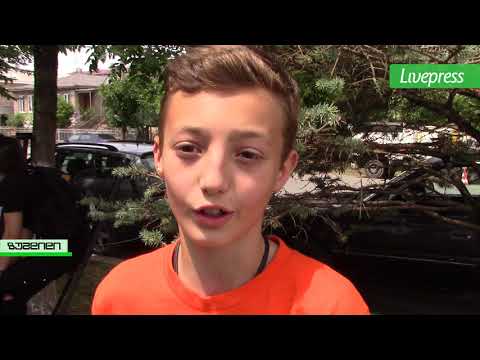 ვეფხისტყაოსნის საჯაროდ კითხვა