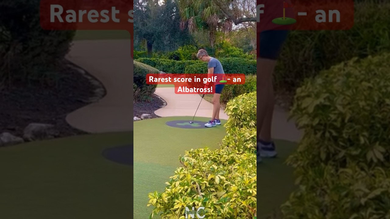 EPIC & RARE ALBATROSS at Disney’s Fairways Golf Course at Fantasia Gardens! 