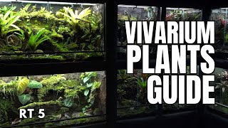 Vivarium Plants Masterclass | Round Table 5