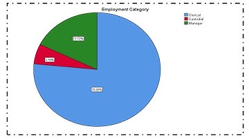 SPSS Frequency Distribution for Categorical Variables